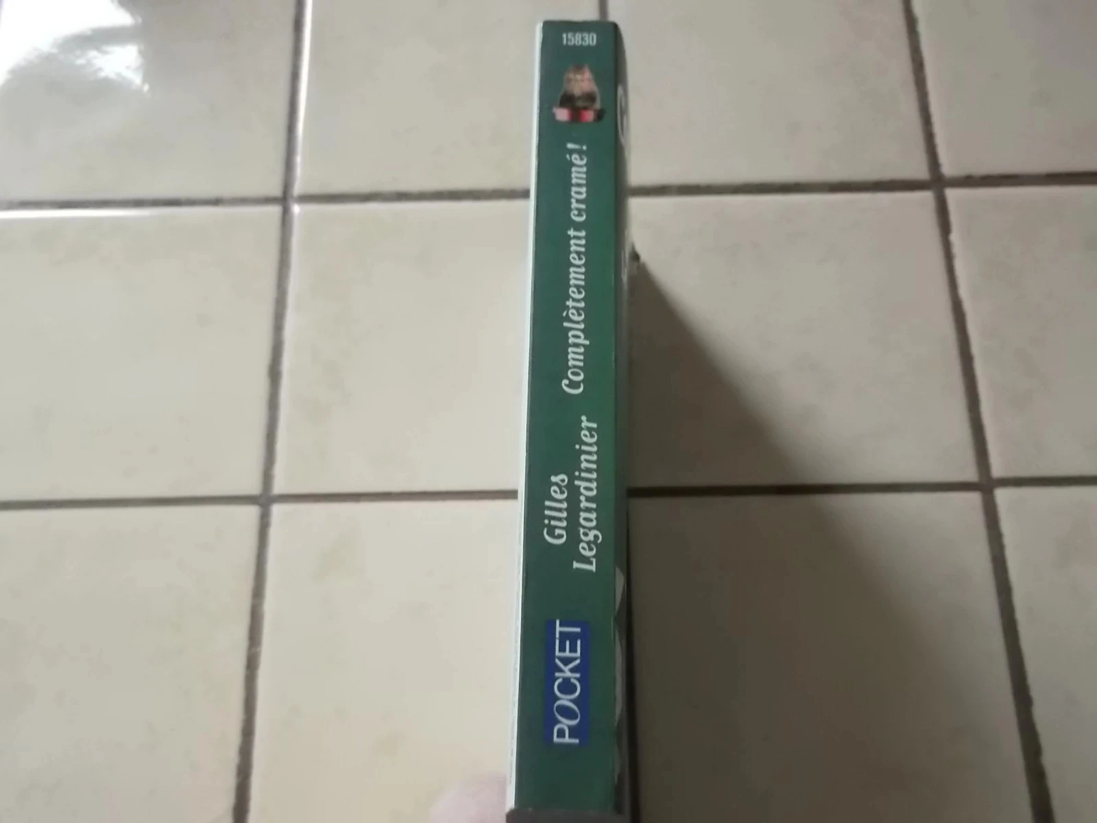 Complètement cramé – photo 2